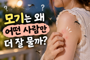 모기 썸네일