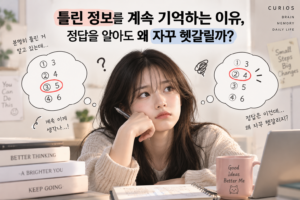 틀린정보 썸네일
