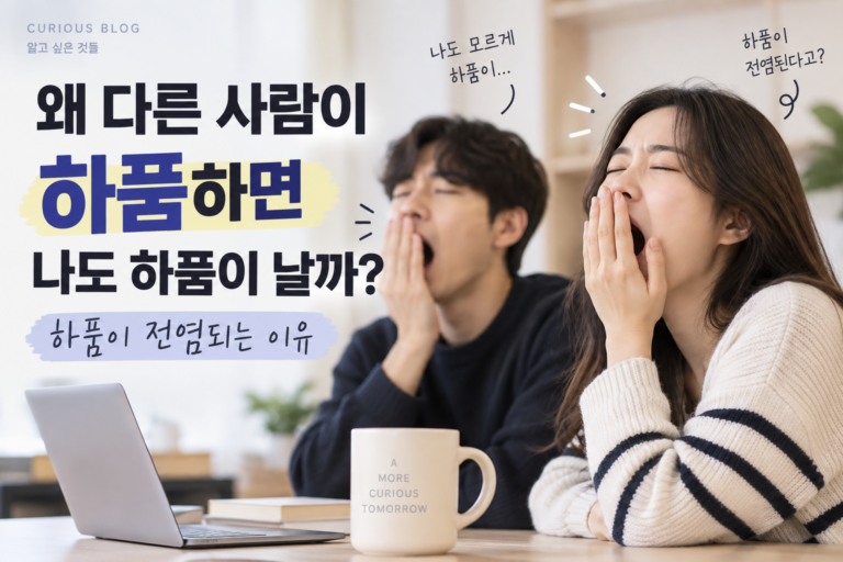 하품 썸네일